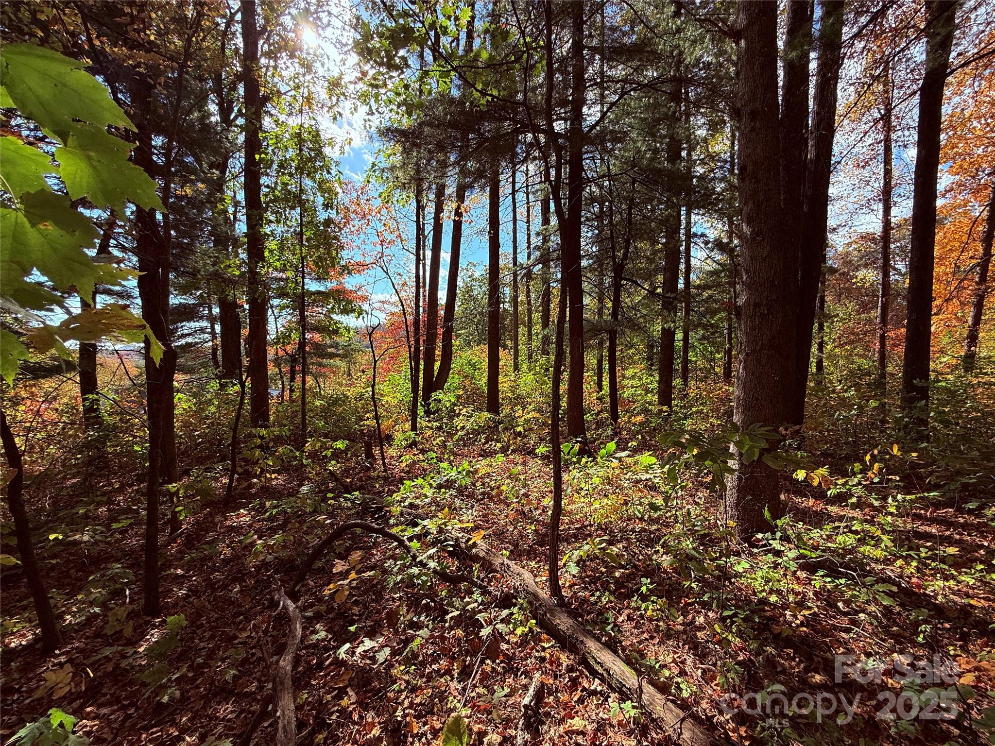 312 Hollybrook Drive Flat Rock NC 28731