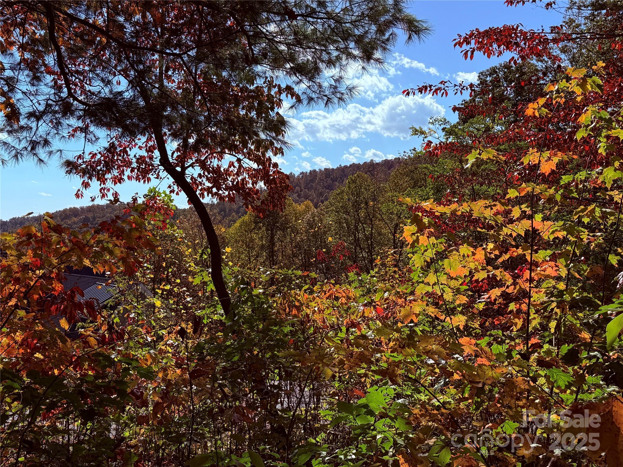 312 Hollybrook Drive Flat Rock NC 28731