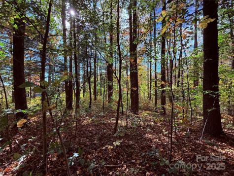 312 Hollybrook Drive Flat Rock NC 28731