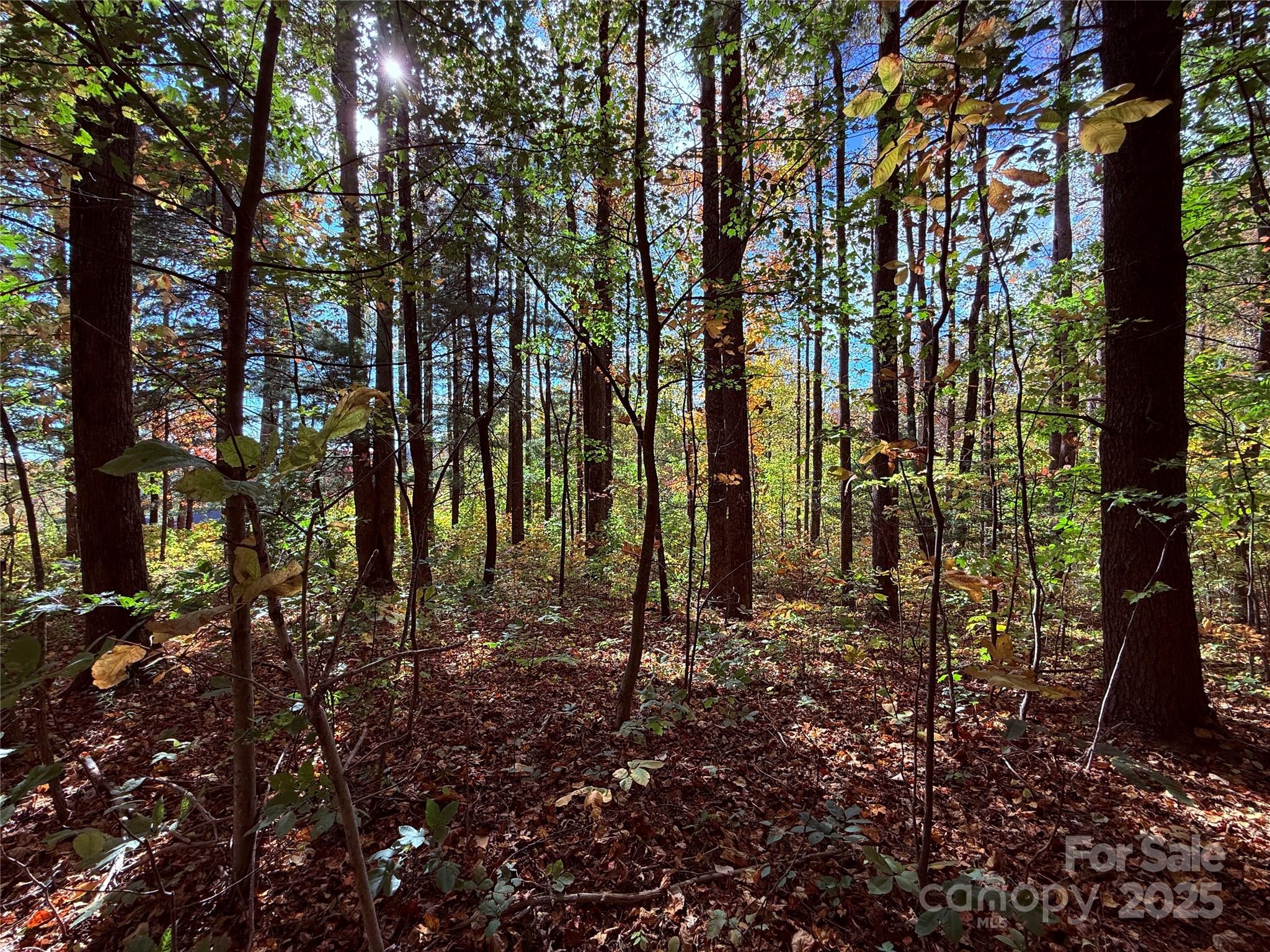 312 Hollybrook Drive Flat Rock NC 28731