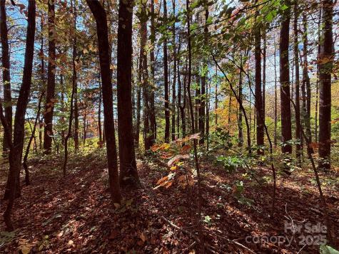 312 Hollybrook Drive Flat Rock NC 28731