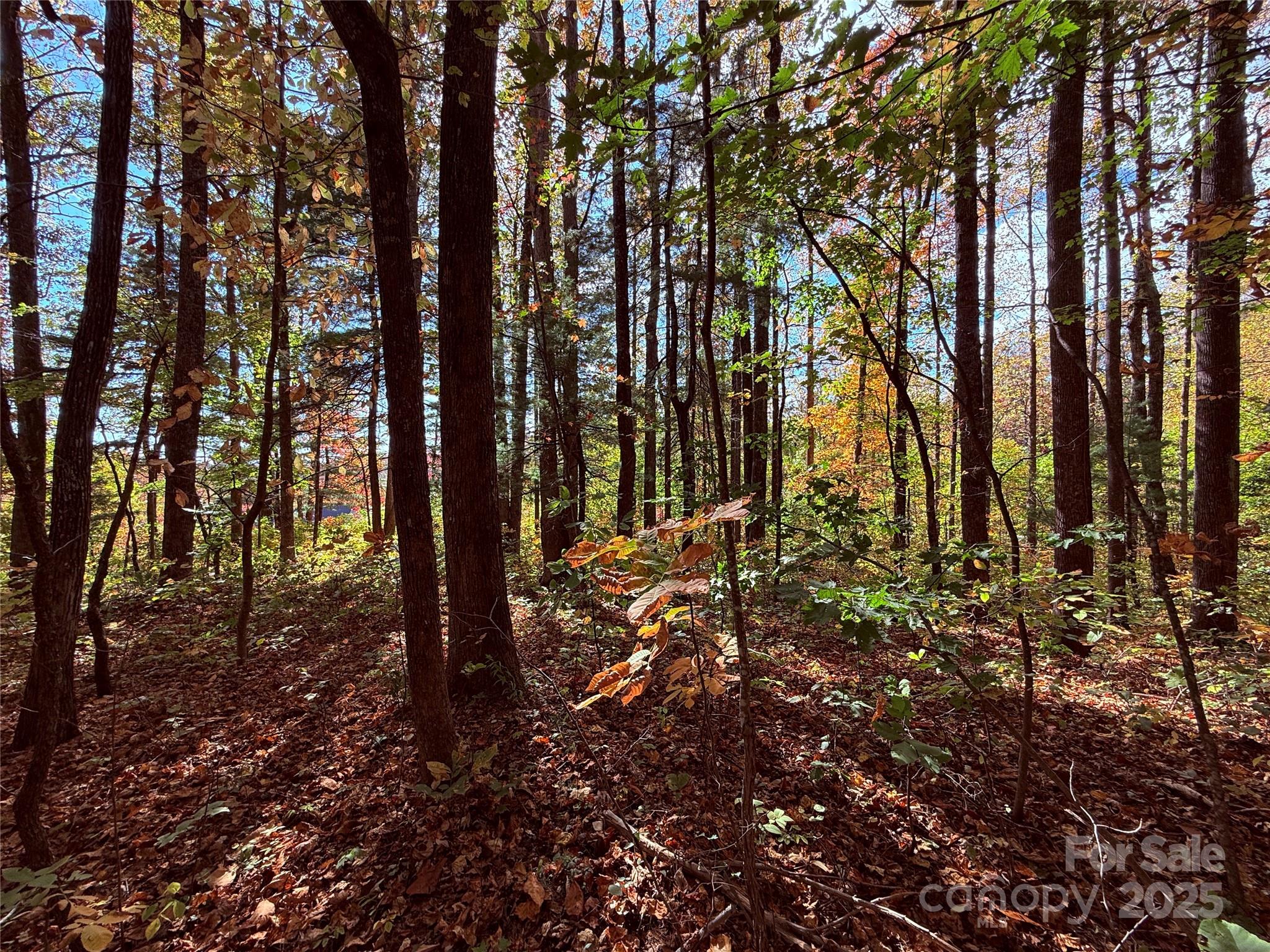 312 Hollybrook Drive Flat Rock NC 28731