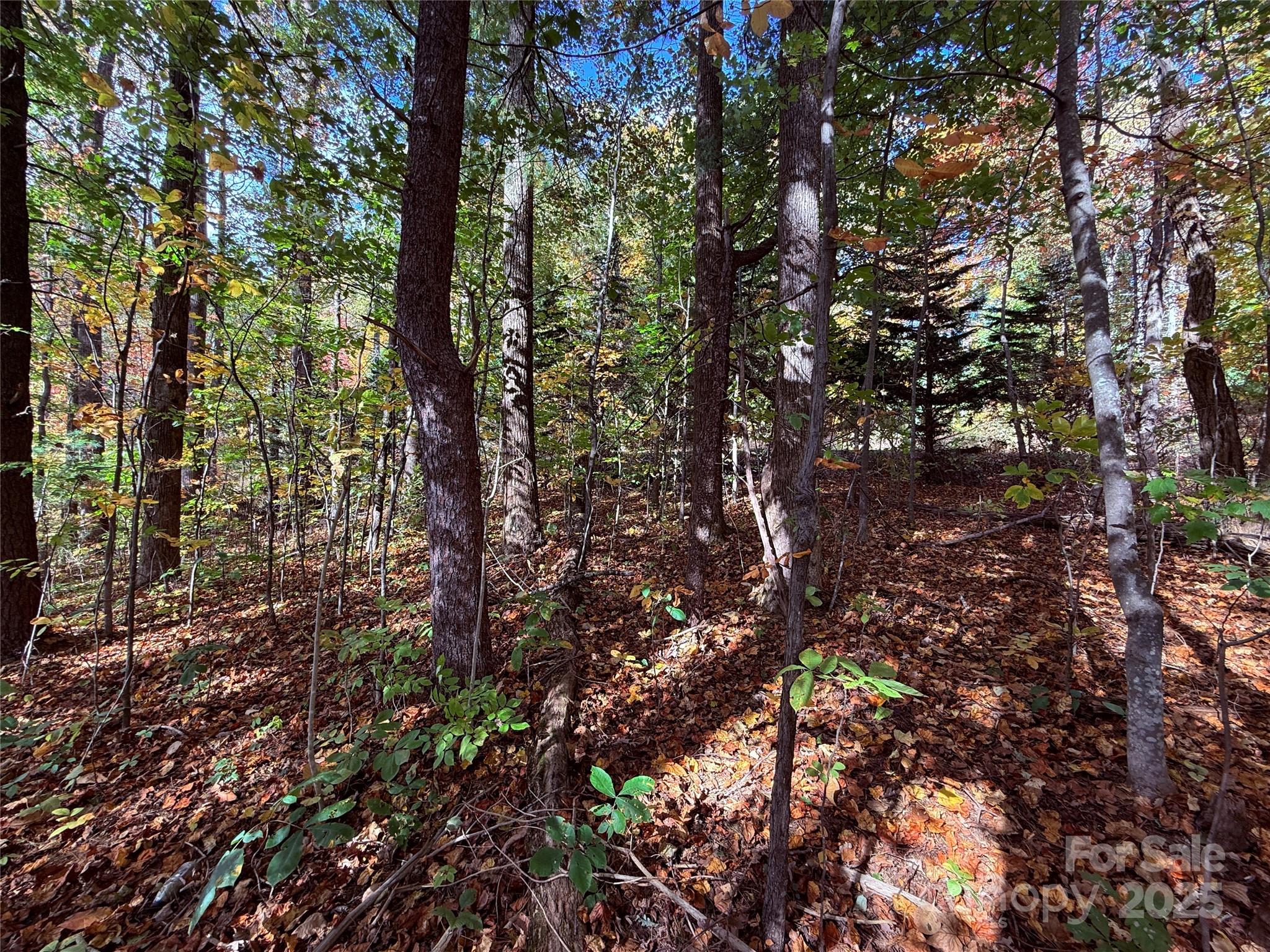 312 Hollybrook Drive Flat Rock NC 28731