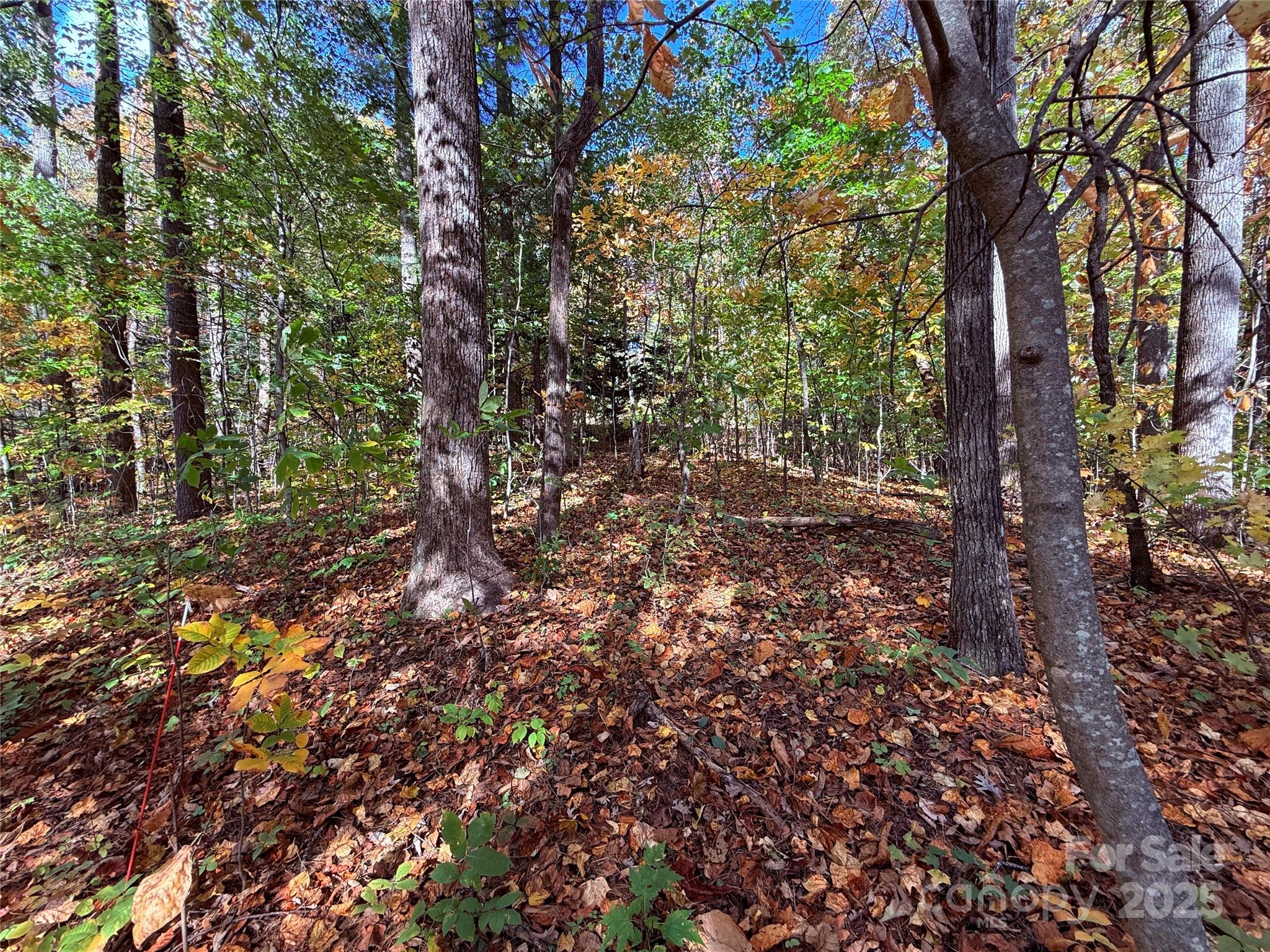 312 Hollybrook Drive Flat Rock NC 28731