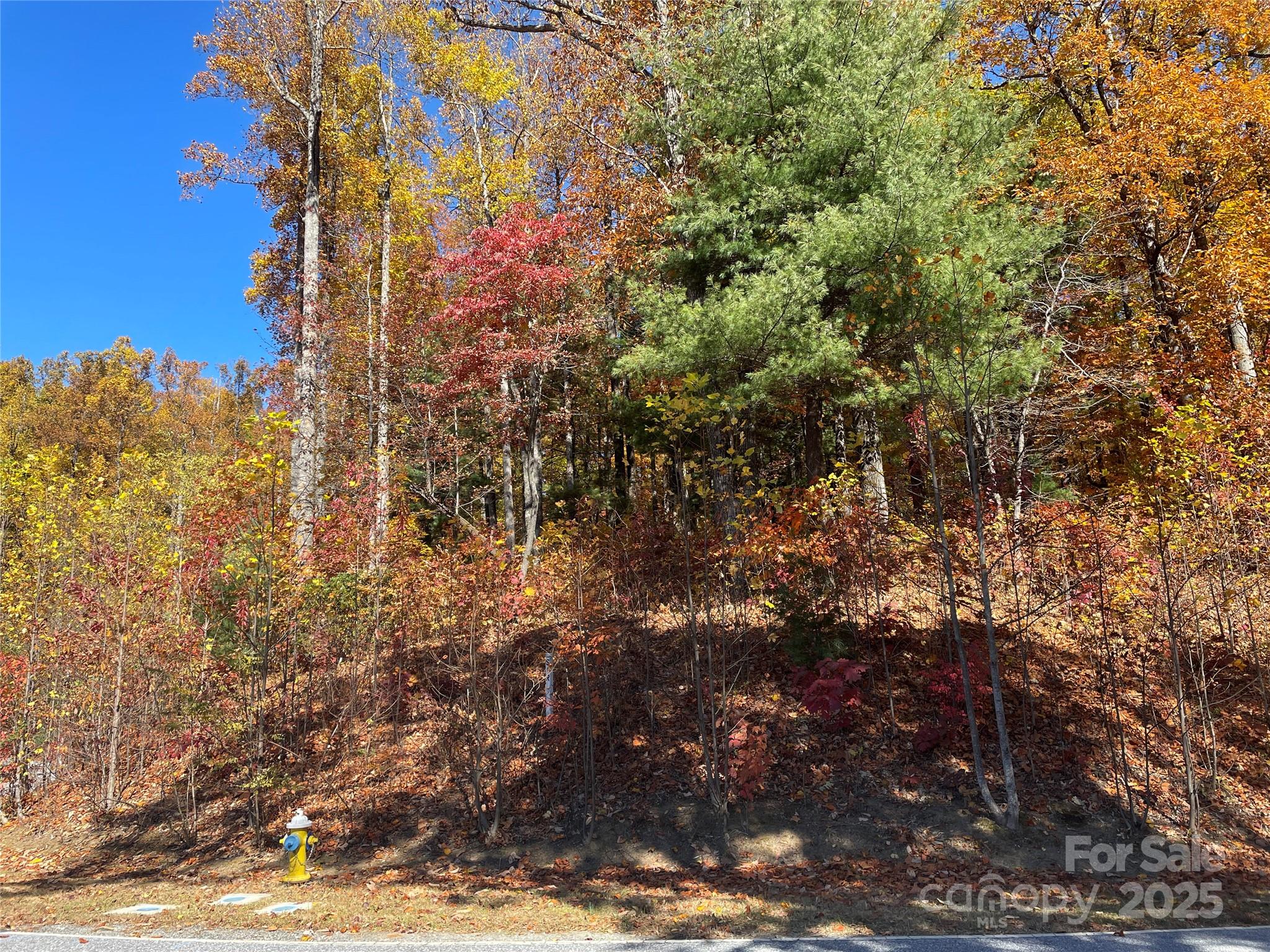 312 Hollybrook Drive Flat Rock NC 28731