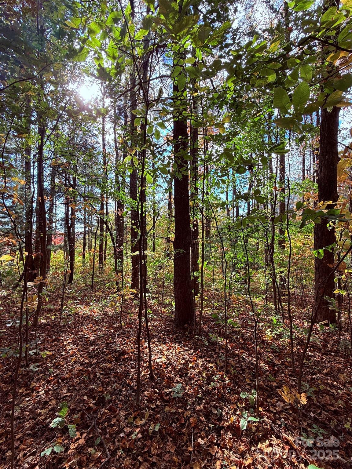 312 Hollybrook Drive Flat Rock NC 28731