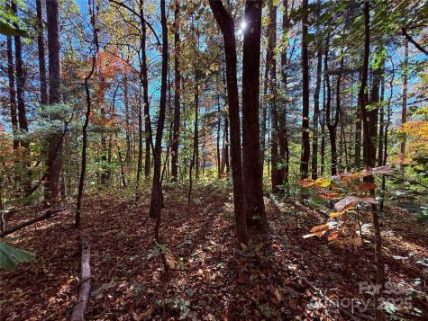 312 Hollybrook Drive Flat Rock NC 28731