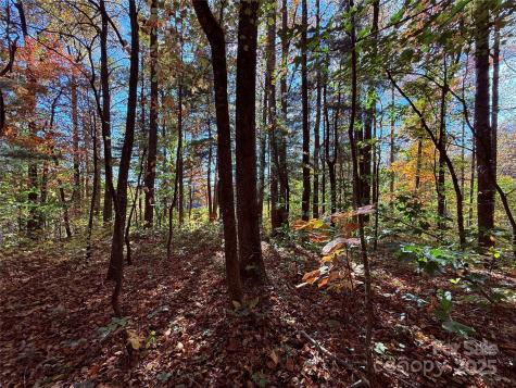 312 Hollybrook Drive Flat Rock NC 28731