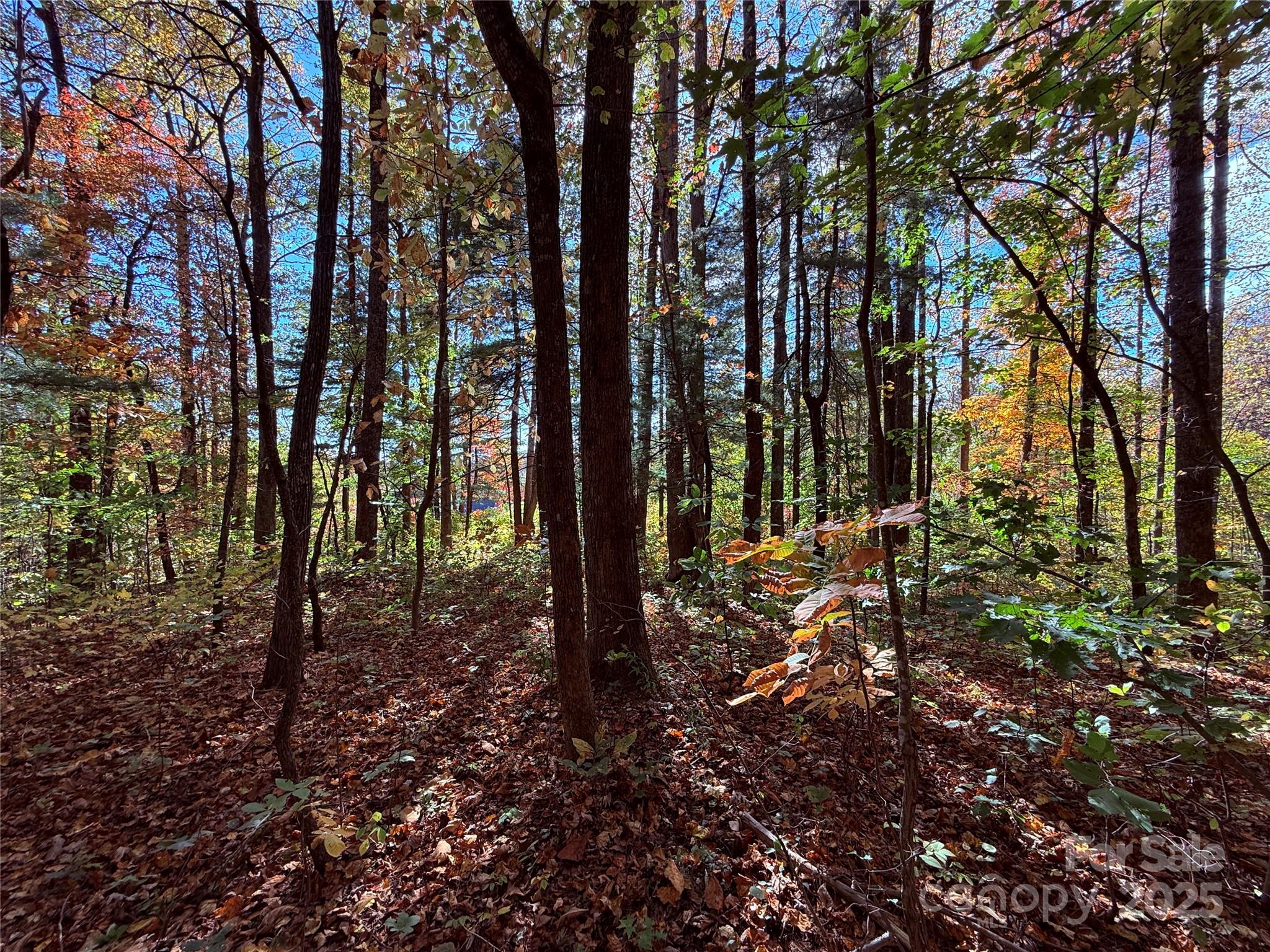 312 Hollybrook Drive Flat Rock NC 28731