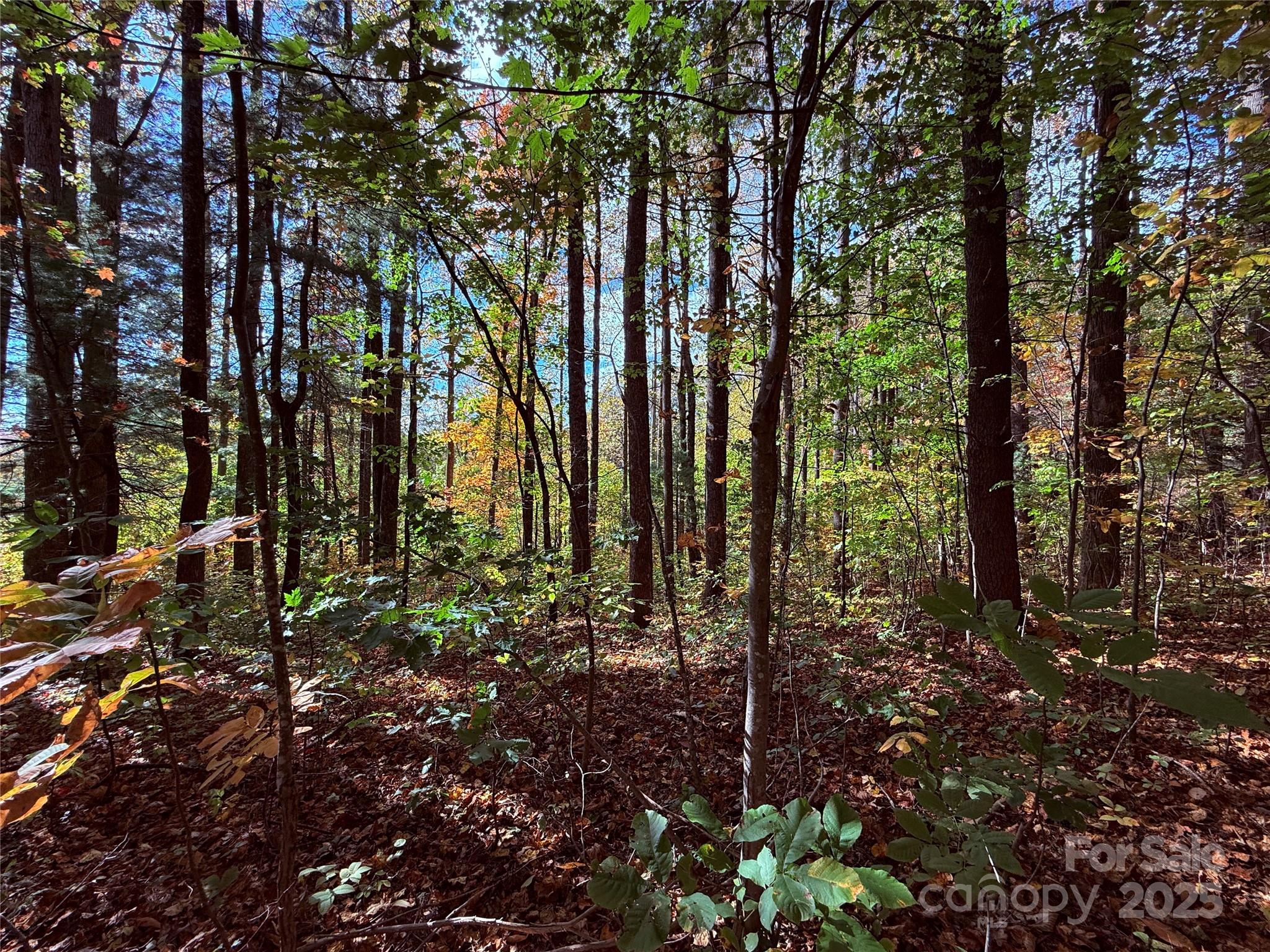 312 Hollybrook Drive Flat Rock NC 28731