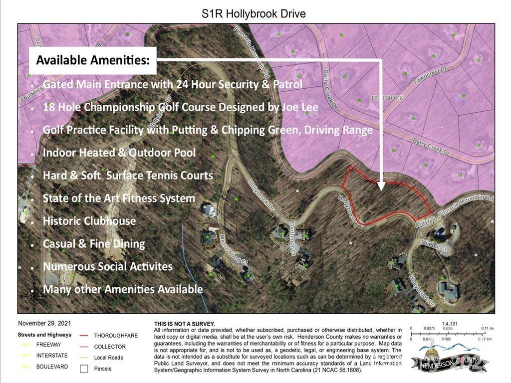 312 Hollybrook Drive Flat Rock NC 28731