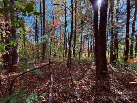 312 Hollybrook Drive Flat Rock NC 28731