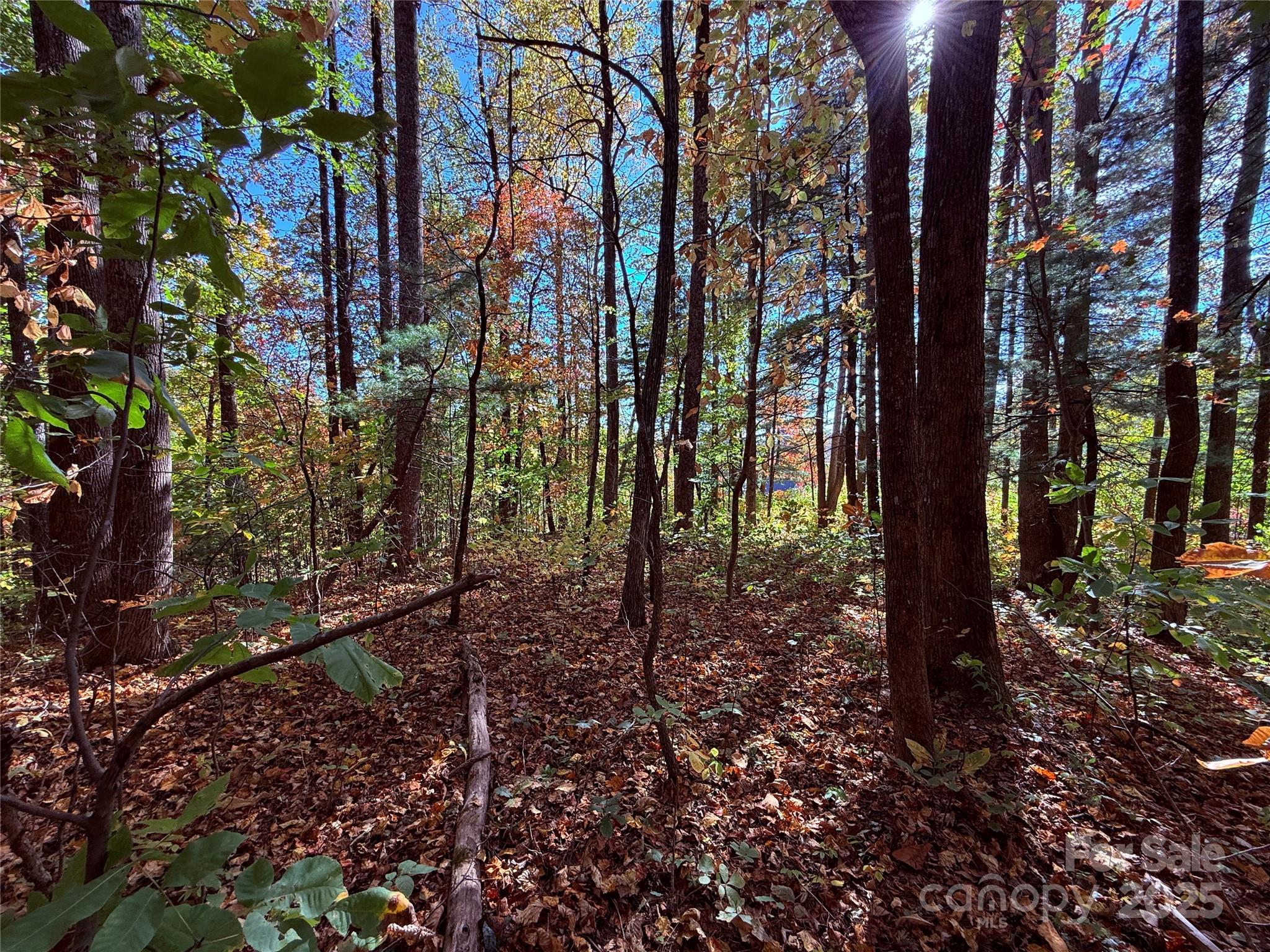 312 Hollybrook Drive Flat Rock NC 28731