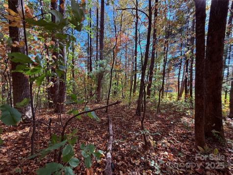 312 Hollybrook Drive Flat Rock NC 28731