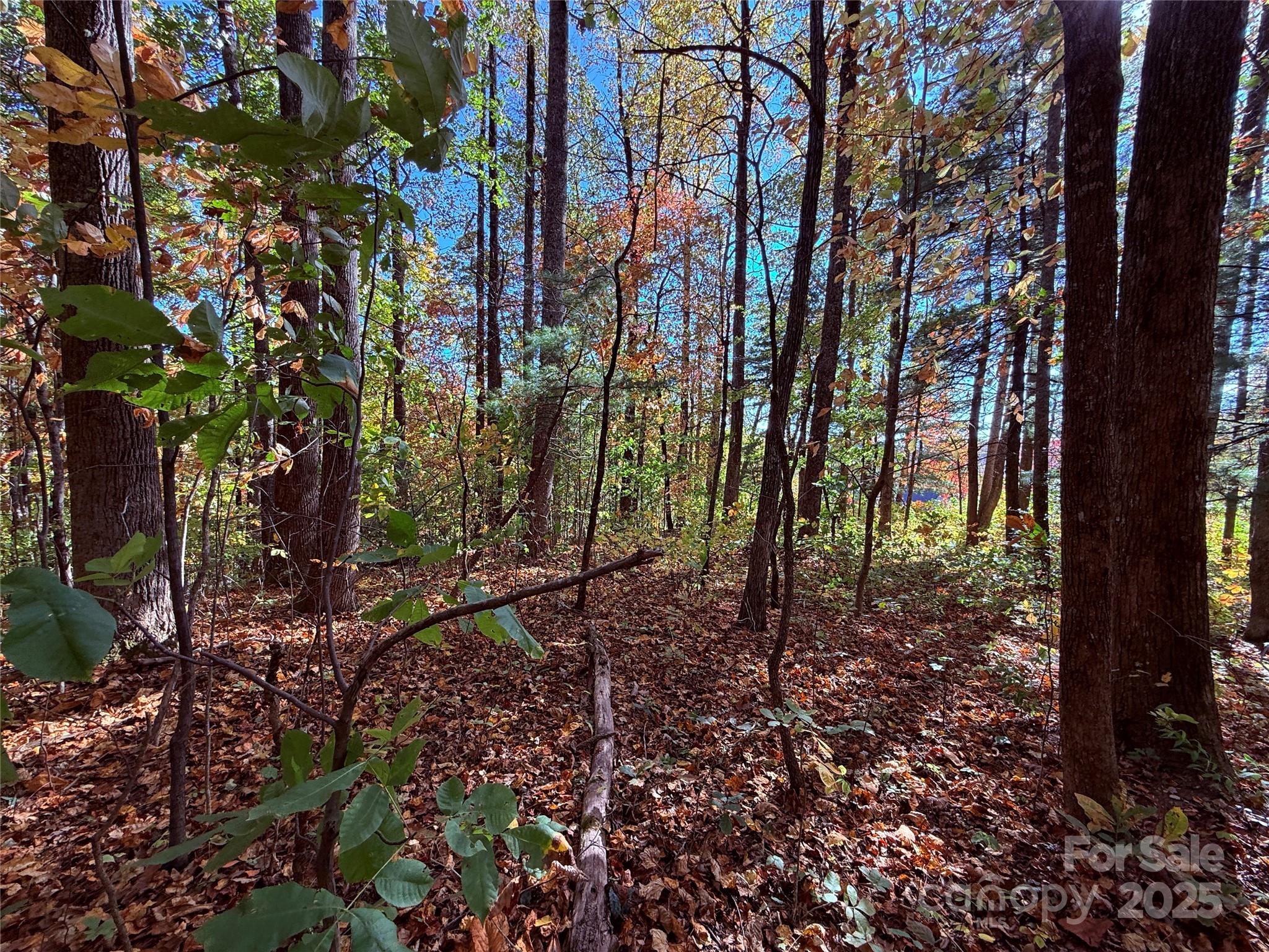 312 Hollybrook Drive Flat Rock NC 28731