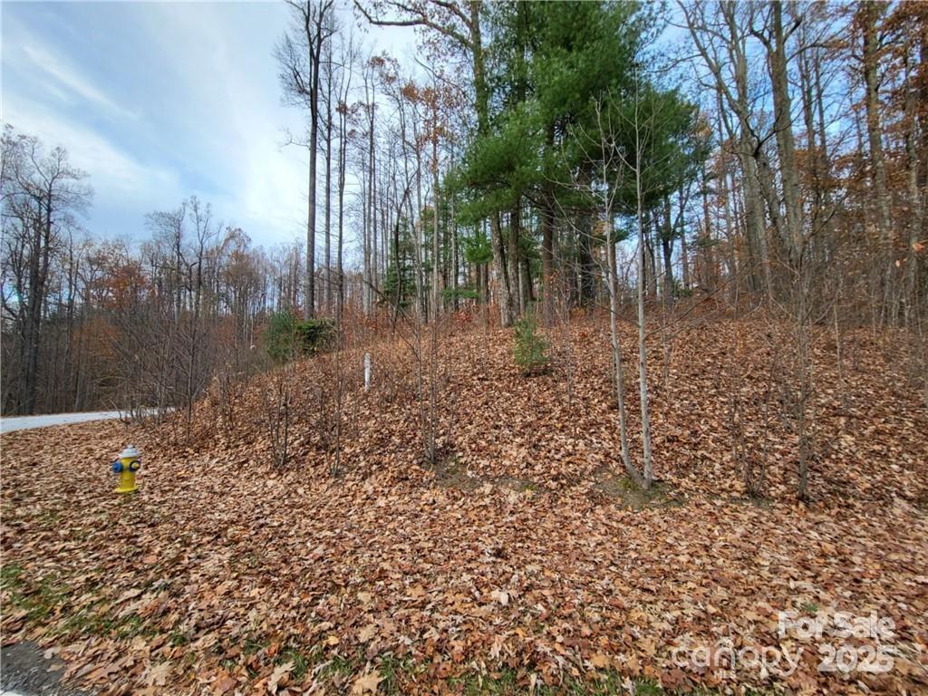 312 Hollybrook Drive Flat Rock NC 28731