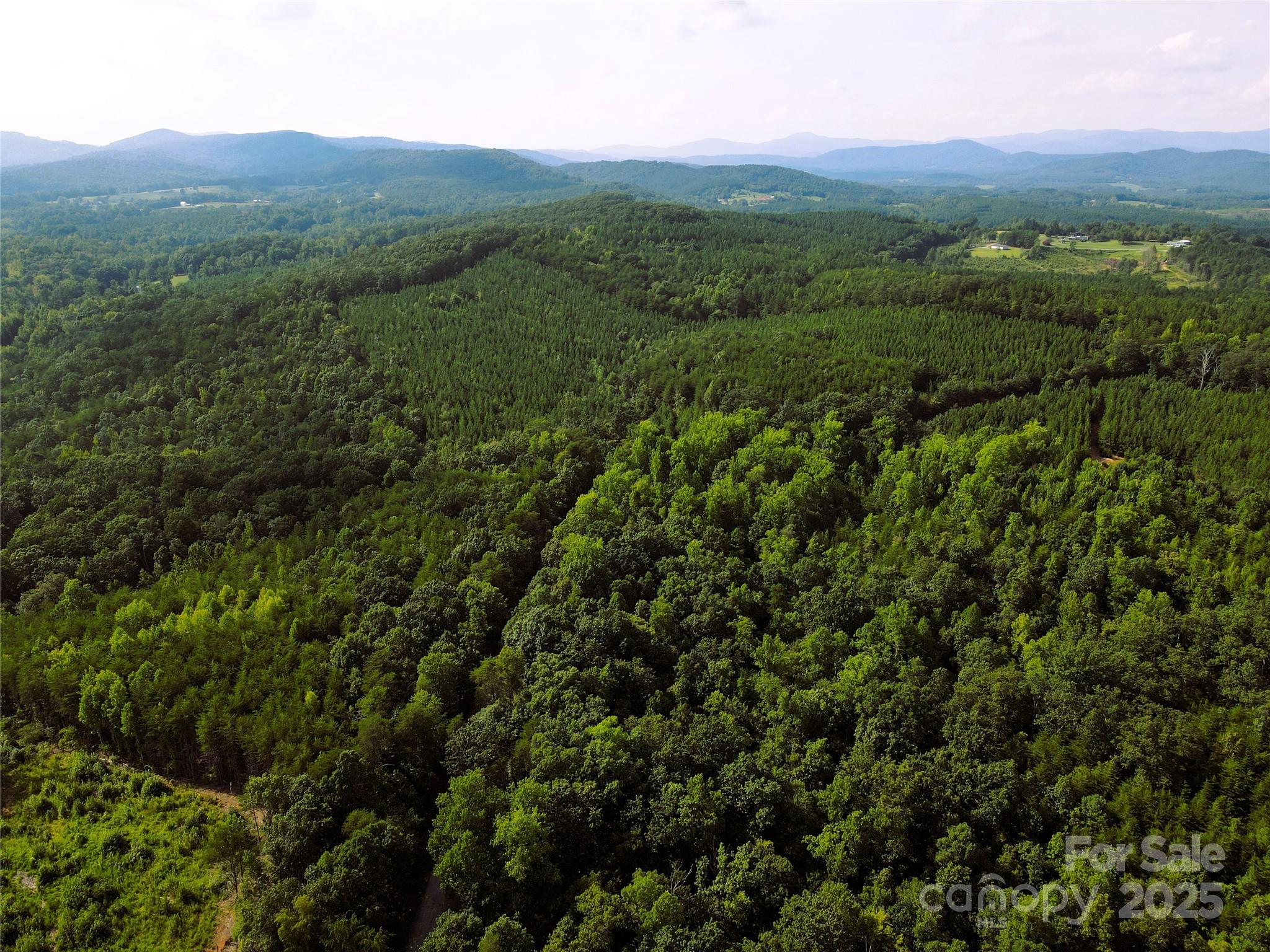 0 Irvin Road Ellenboro NC 28040