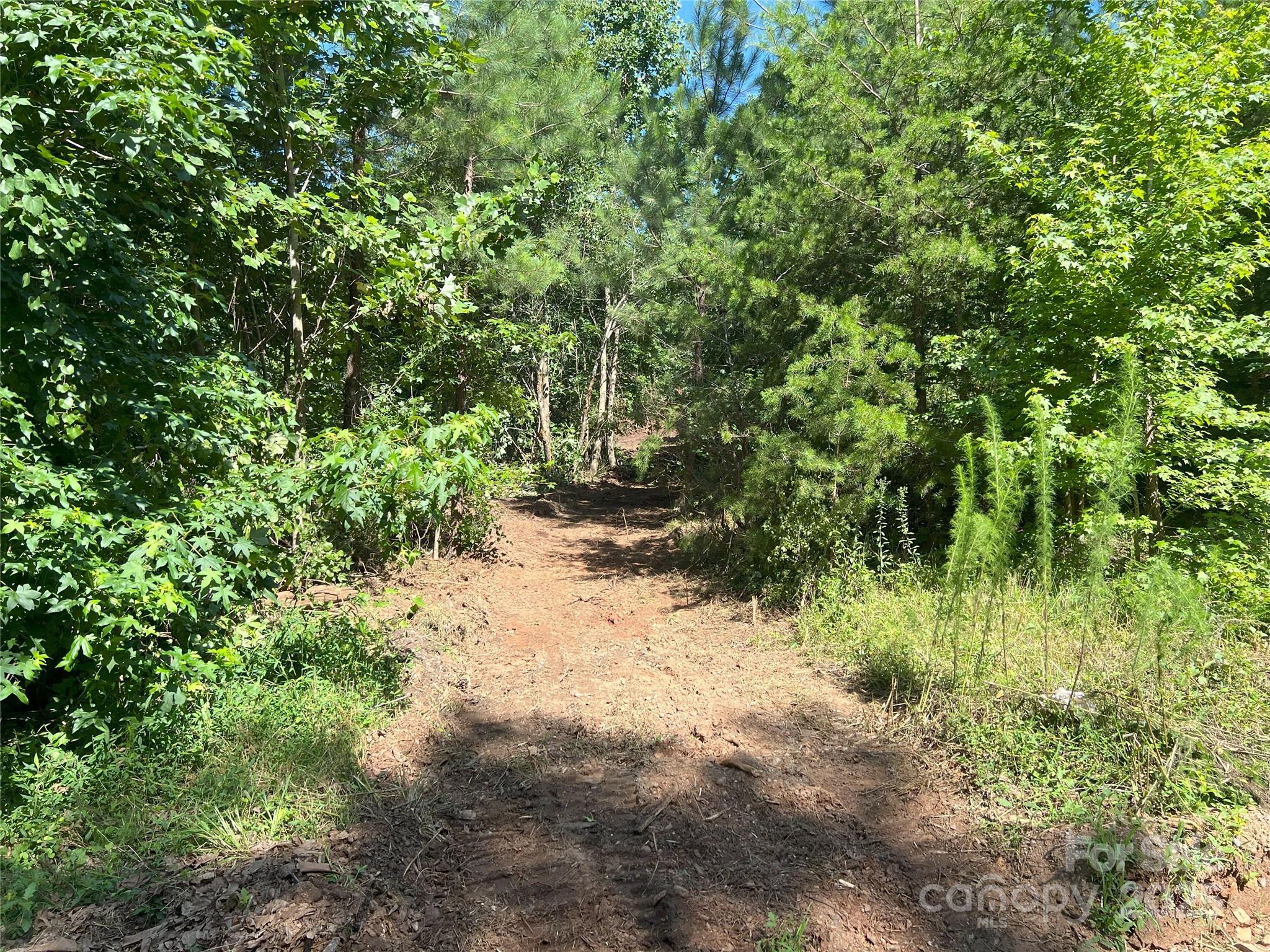 0 Irvin Road Ellenboro NC 28040