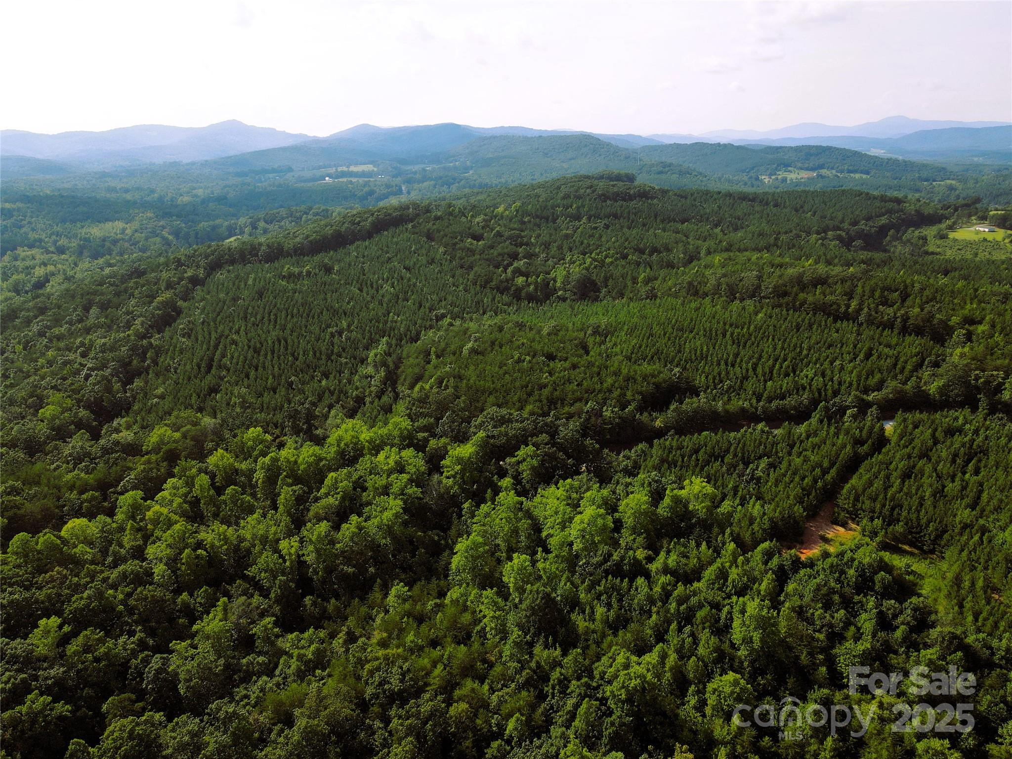 0 Irvin Road Ellenboro NC 28040