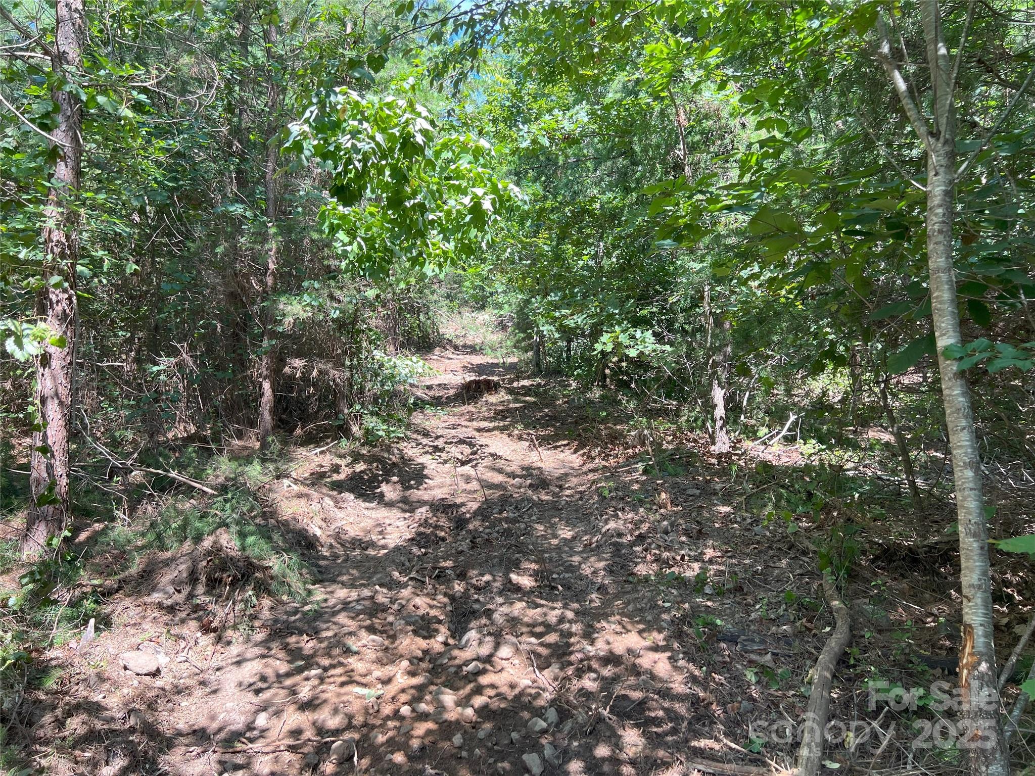 0 Irvin Road Ellenboro NC 28040