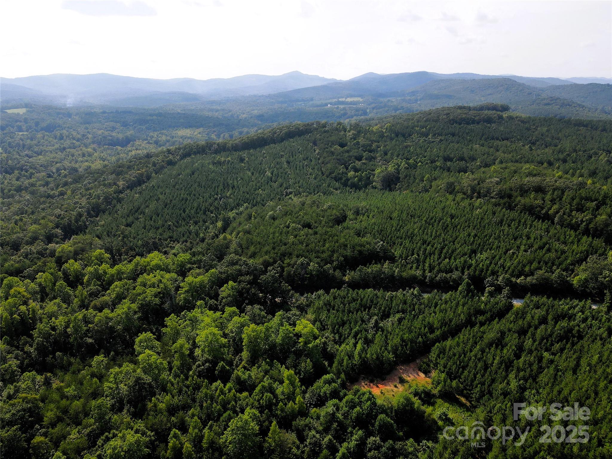 0 Irvin Road Ellenboro NC 28040