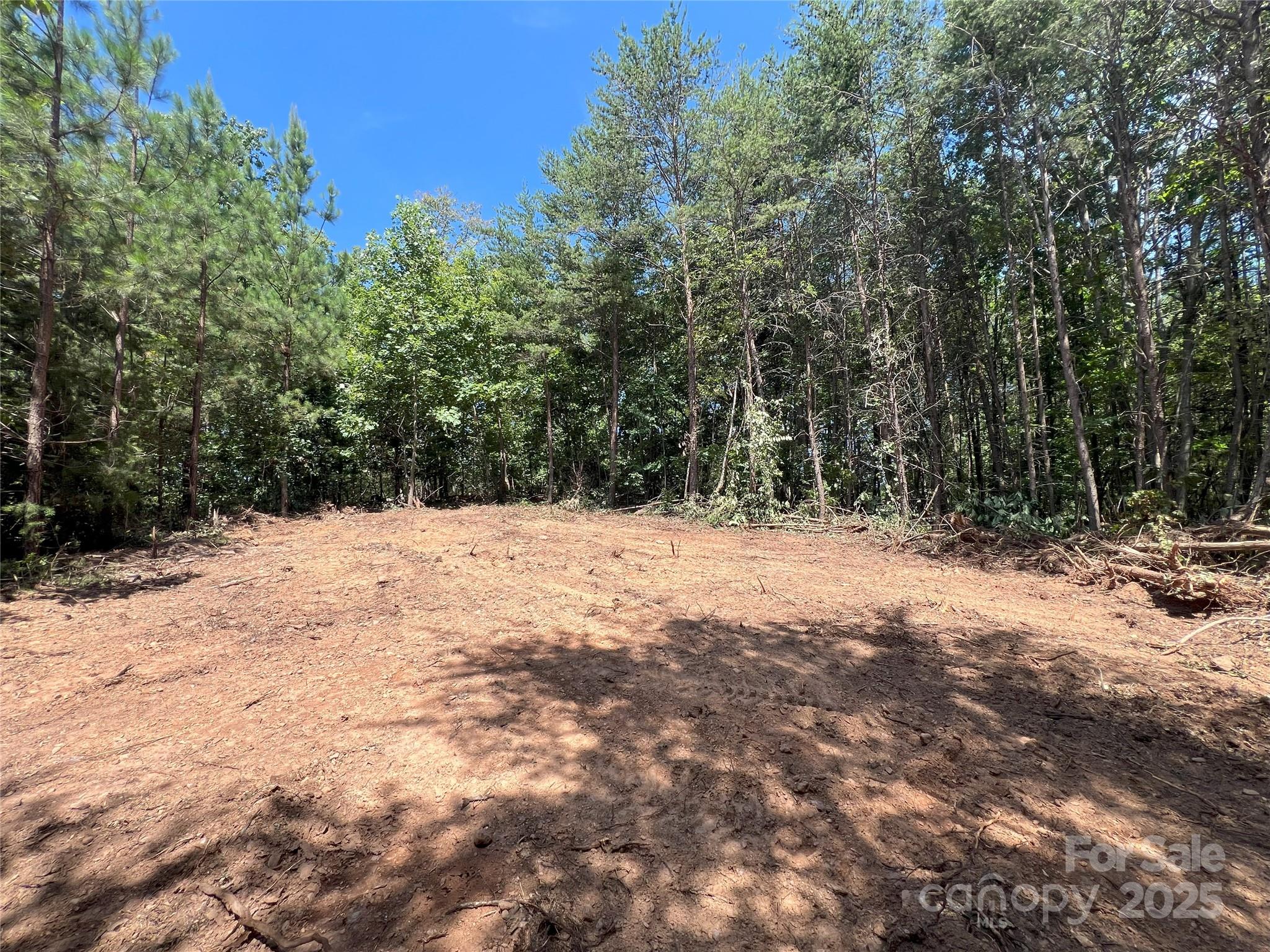 0 Irvin Road Ellenboro NC 28040