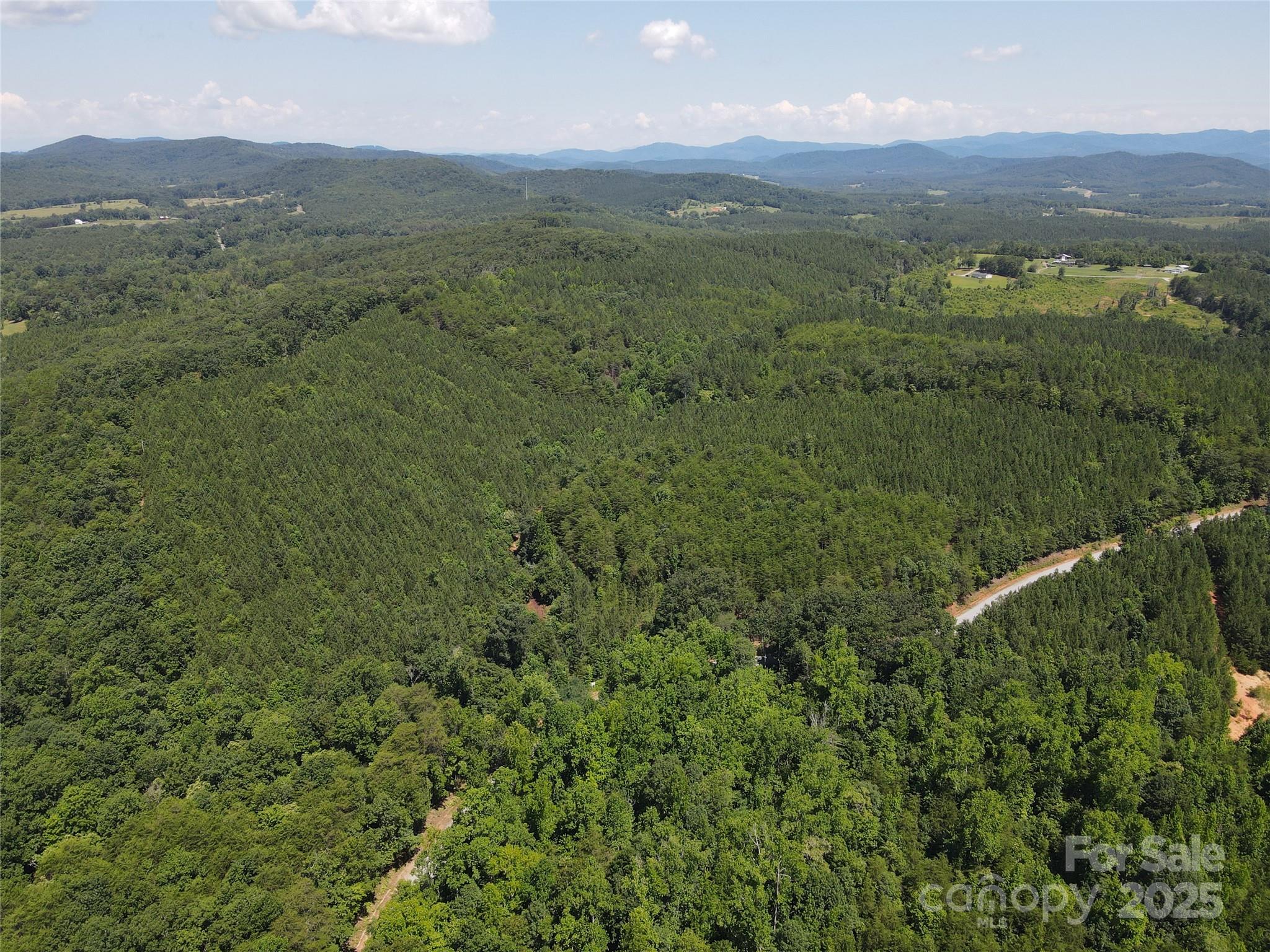 0 Irvin Road Ellenboro NC 28040