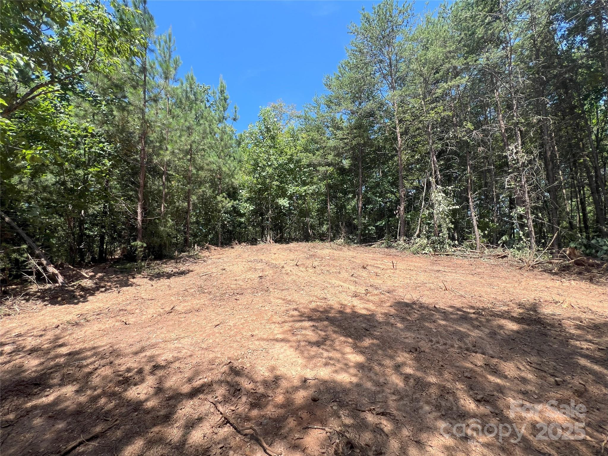 0 Irvin Road Ellenboro NC 28040