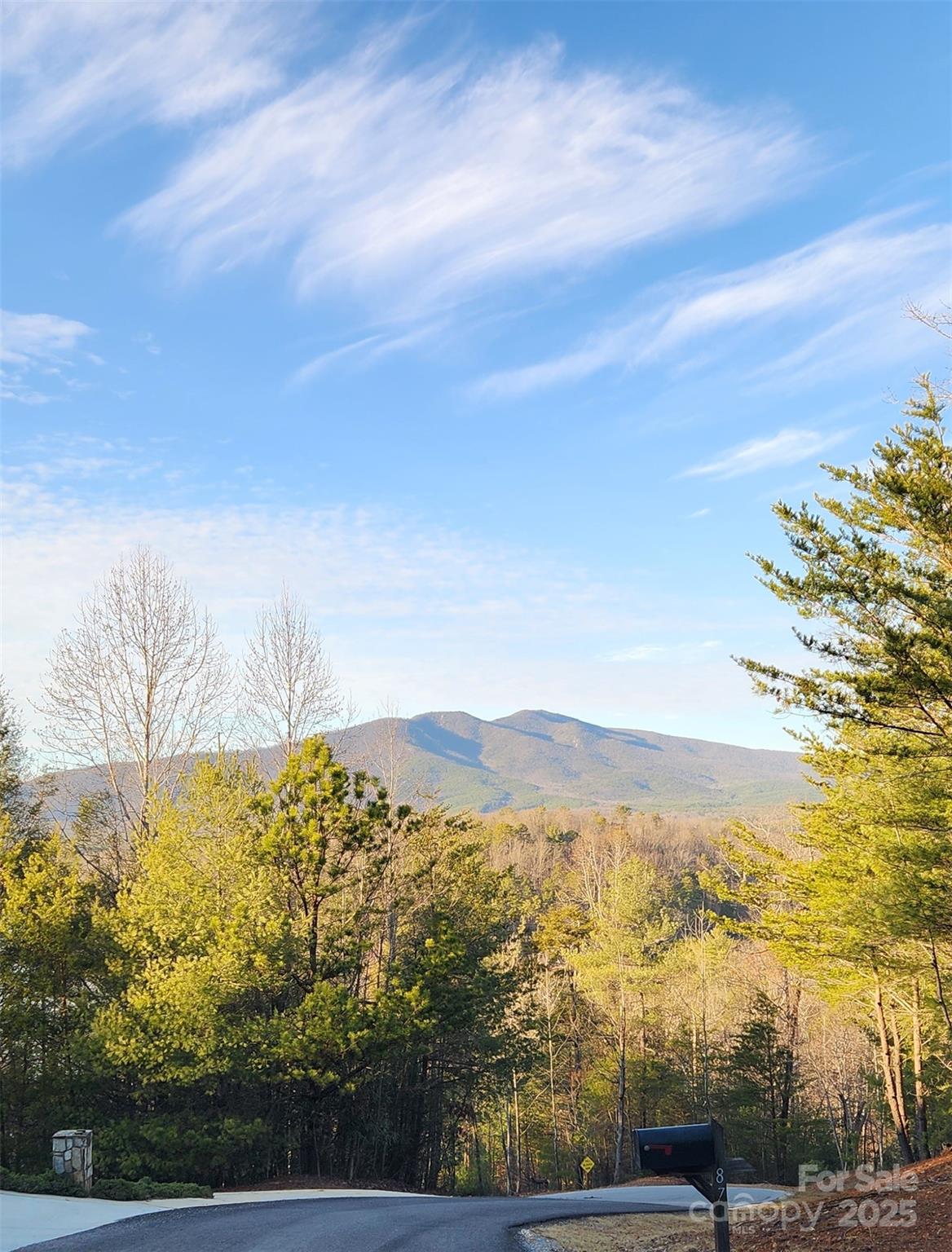 152 Dockside Drive Nebo NC 28761