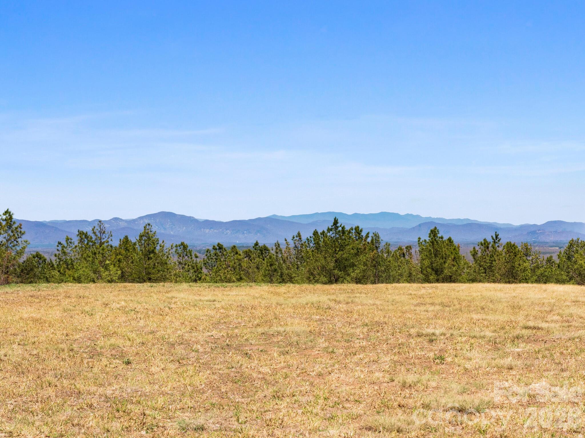 Tbd Williams Loop Columbus NC 28722