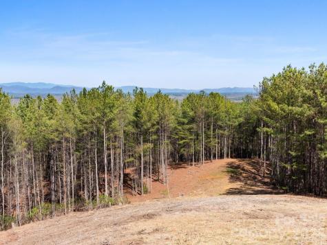Tbd Williams Loop Columbus NC 28722