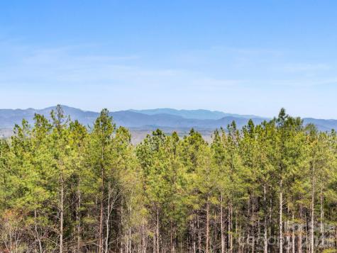 Tbd Williams Loop Columbus NC 28722