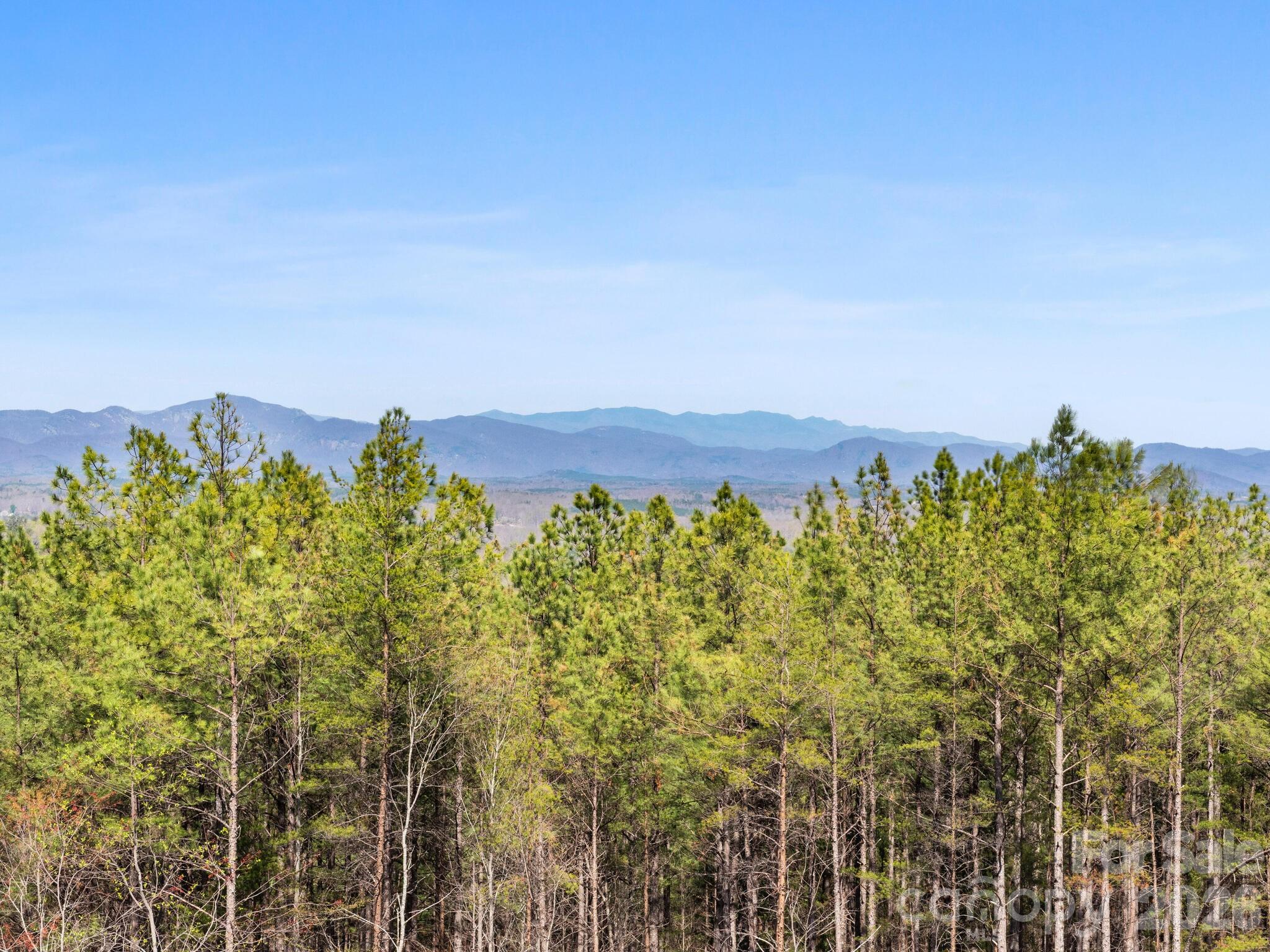 Tbd Williams Loop Columbus NC 28722