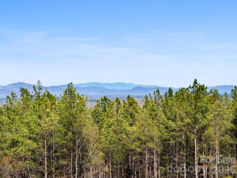 Tbd Williams Loop Columbus NC 28722