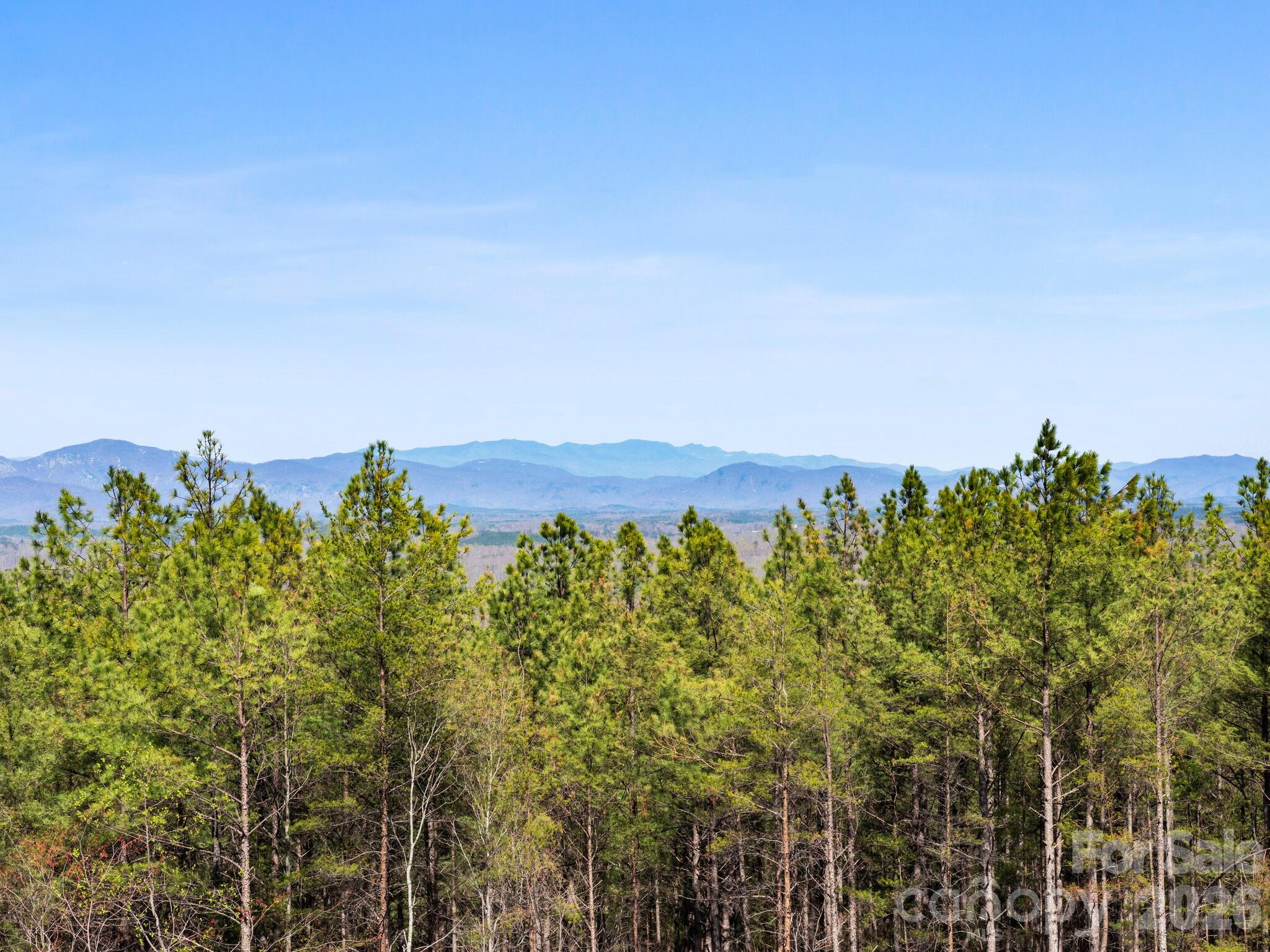 Tbd Williams Loop Columbus NC 28722