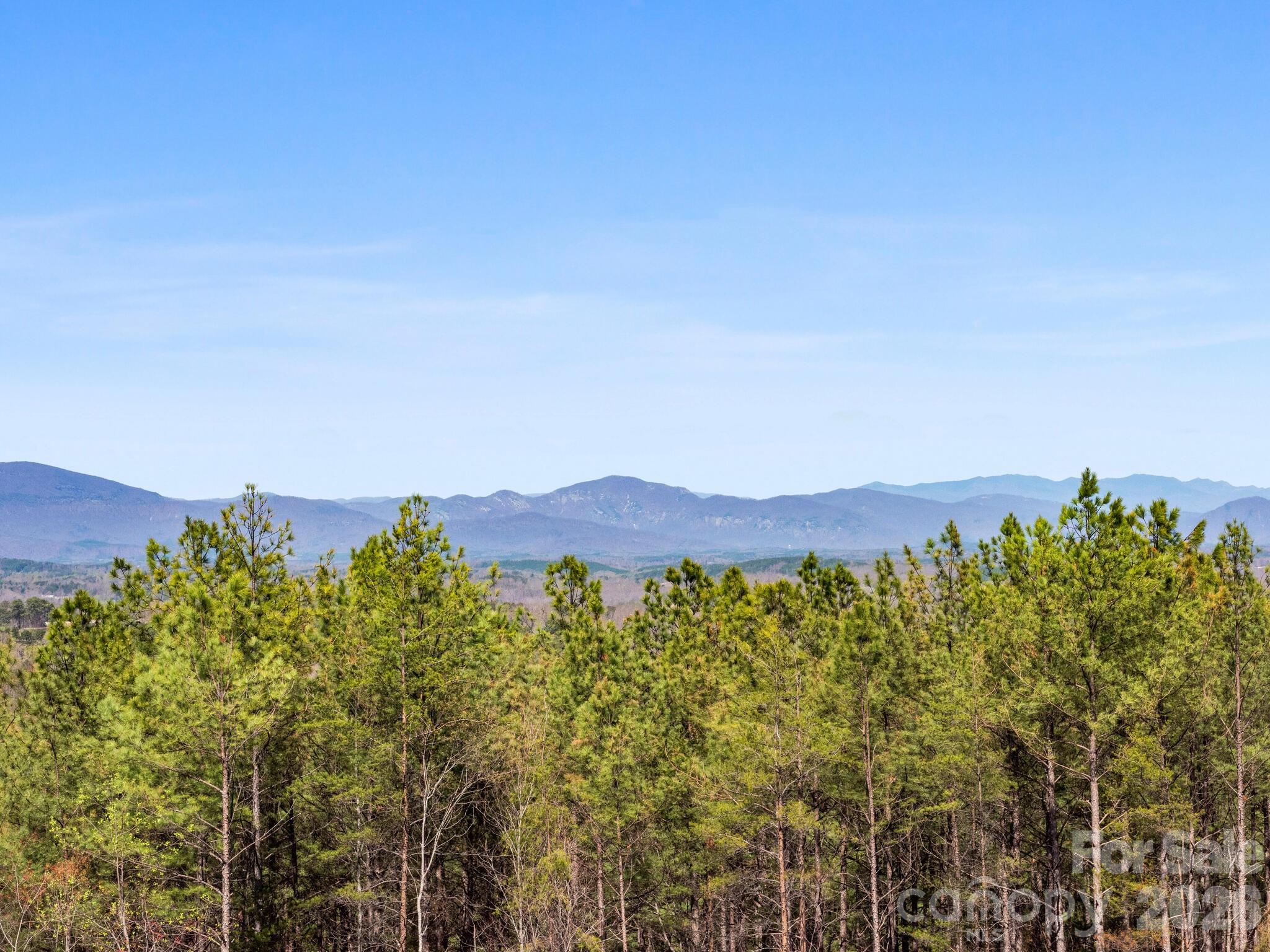 Tbd Williams Loop Columbus NC 28722