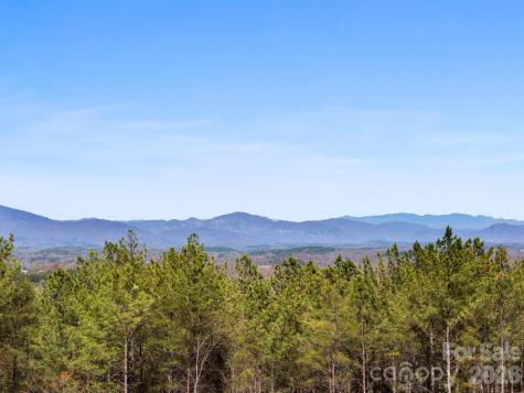Tbd Williams Loop Columbus NC 28722