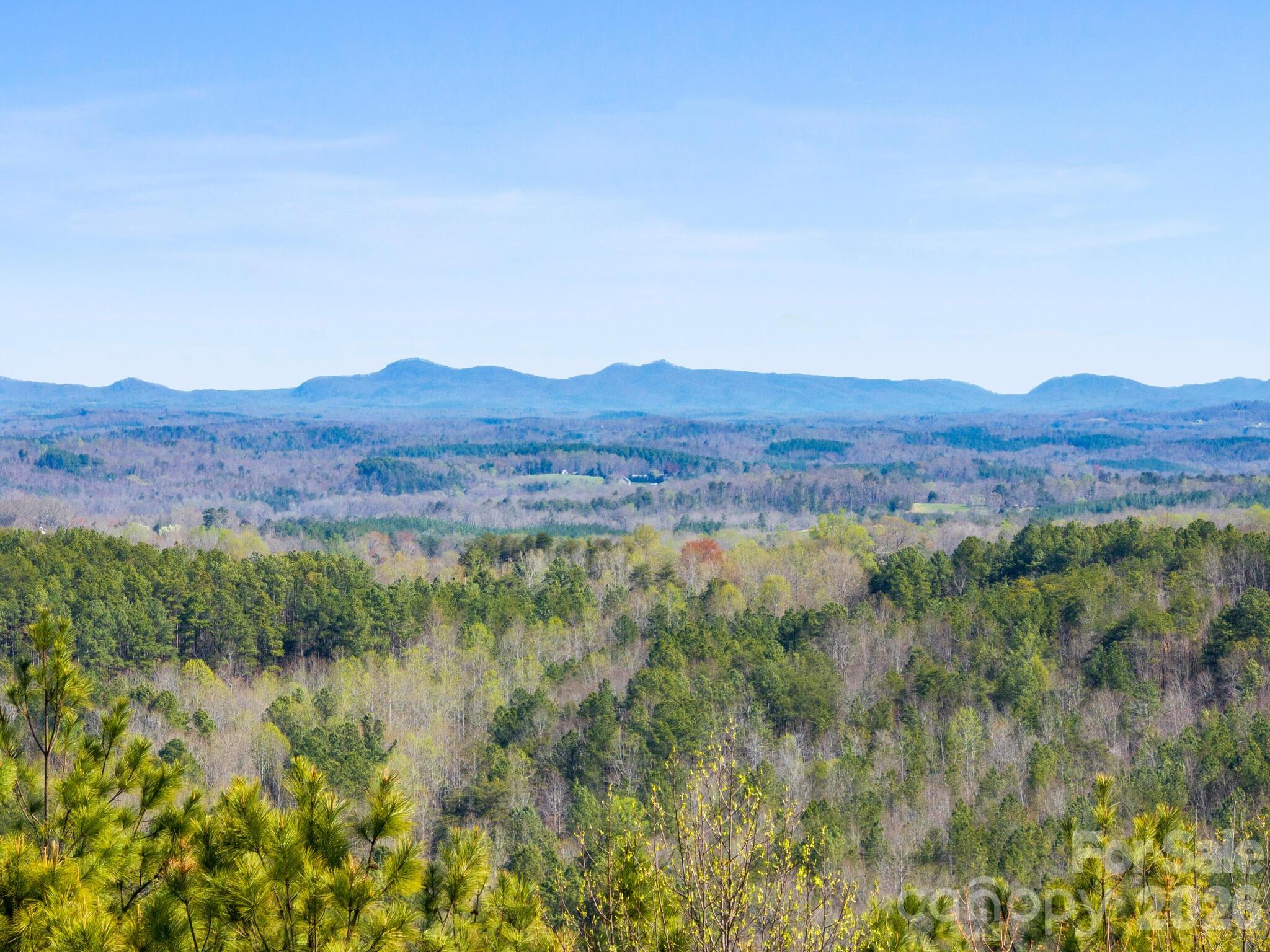 Tbd Williams Loop Columbus NC 28722