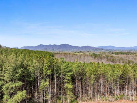 Tbd Williams Loop Columbus NC 28722