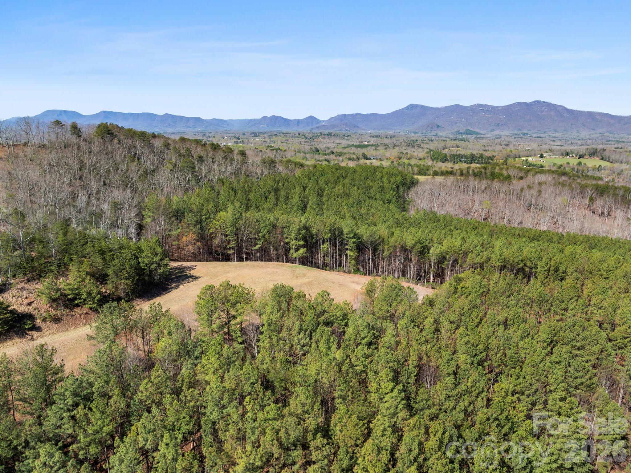 Tbd Williams Loop Columbus NC 28722
