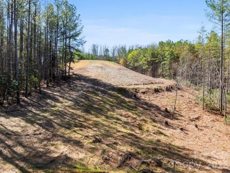 Tbd Williams Loop Columbus NC 28722
