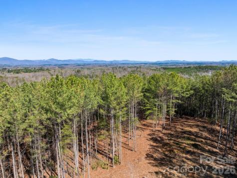 Tbd Williams Loop Columbus NC 28722