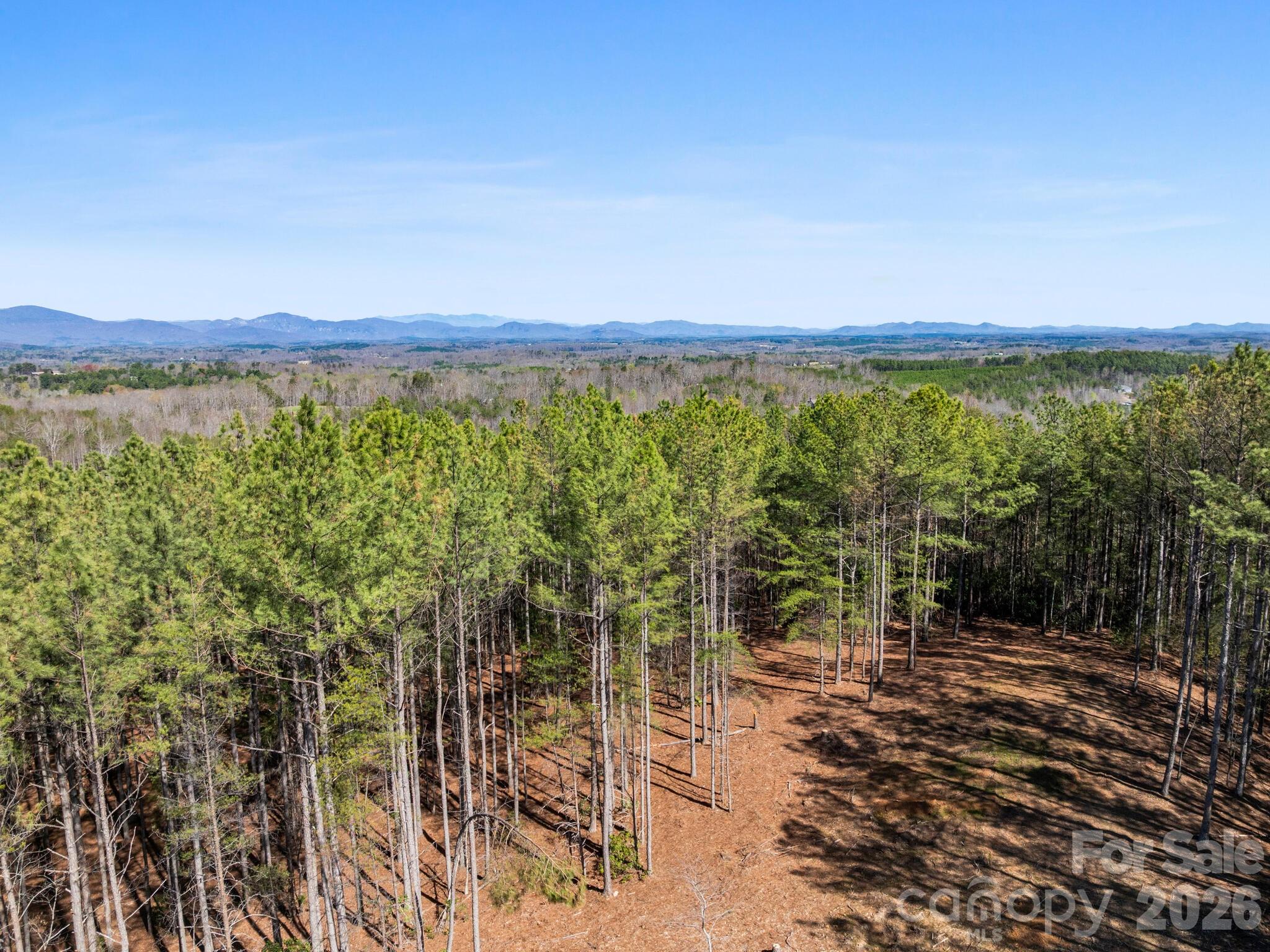 Tbd Williams Loop Columbus NC 28722