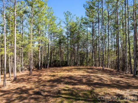 Tbd Williams Loop Columbus NC 28722