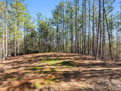 Tbd Williams Loop Columbus NC 28722