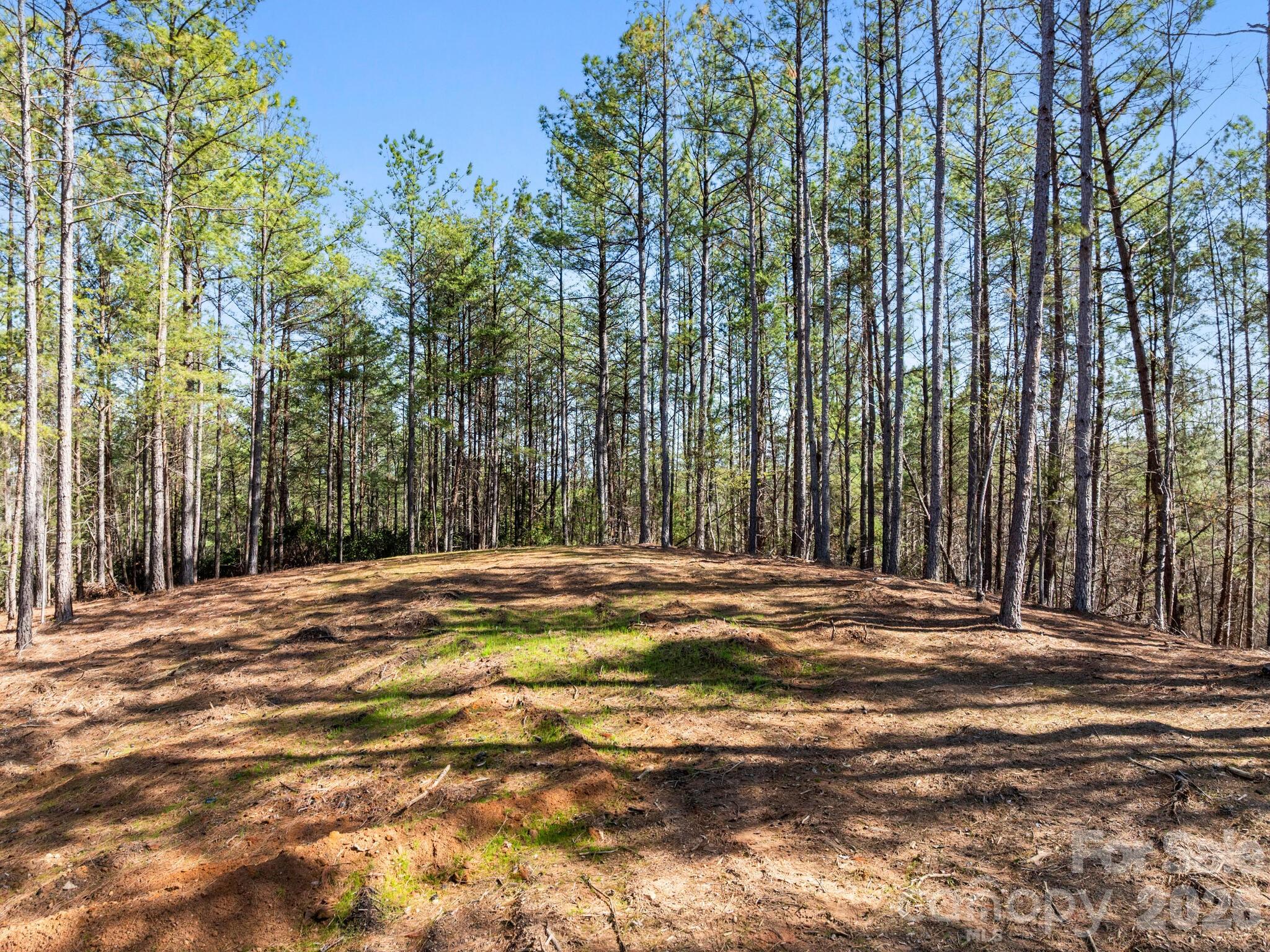 Tbd Williams Loop Columbus NC 28722