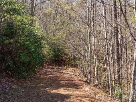 Tbd Williams Loop Columbus NC 28722