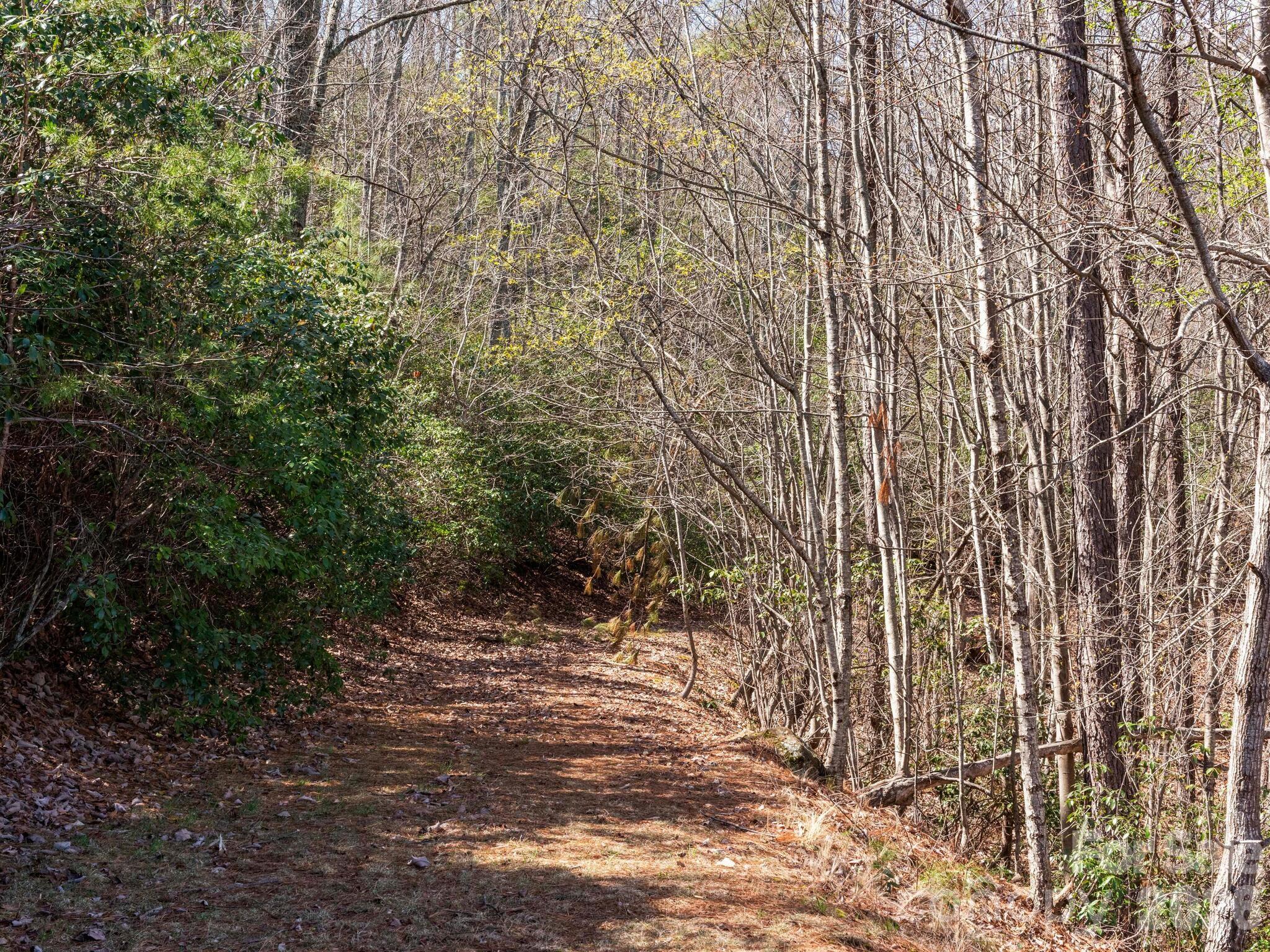 Tbd Williams Loop Columbus NC 28722