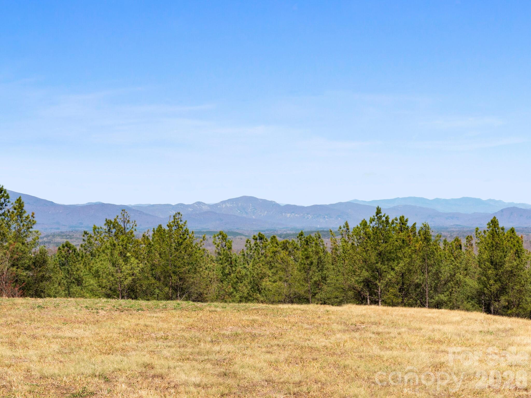 Tbd Williams Loop Columbus NC 28722