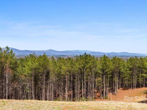 Tbd Williams Loop Columbus NC 28722